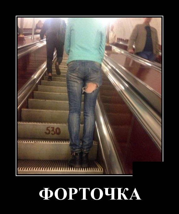 ��� ����, ���������� ����� � ��������� - ������� ������������